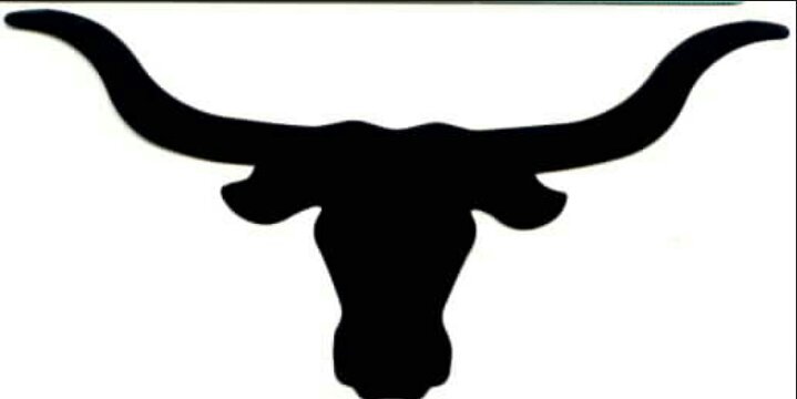 Longhorn Basketball banner