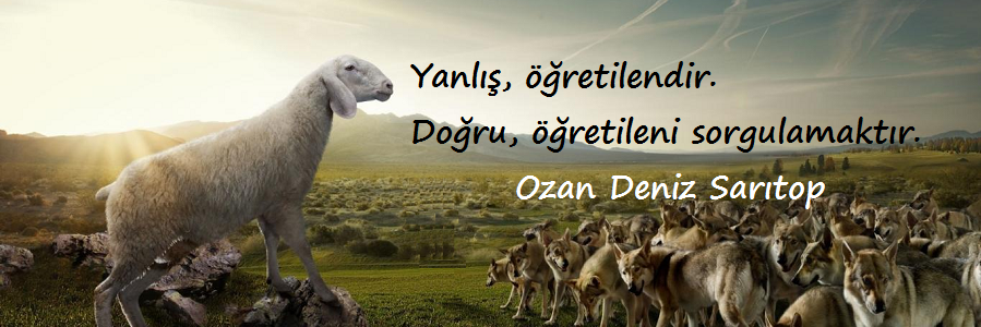 devrimcisoz's profile banner image