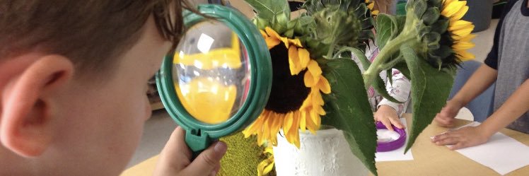 Kinder Room 208 banner