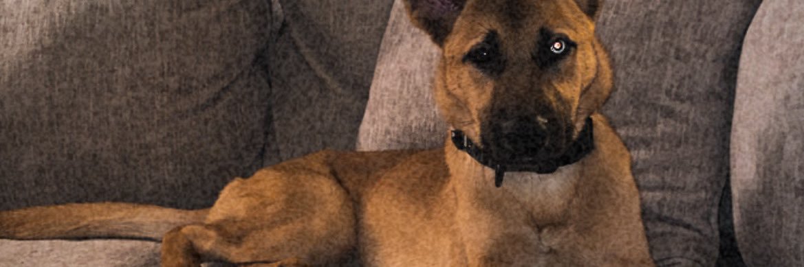 randi_b_r's profile banner image
