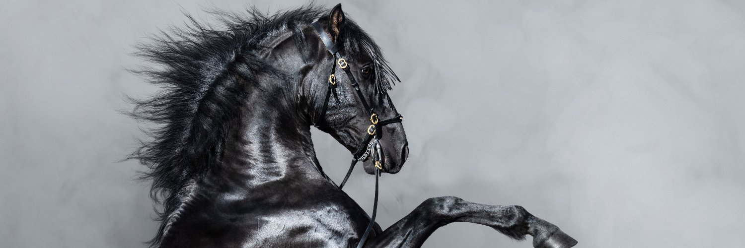 yosefbless's profile banner image