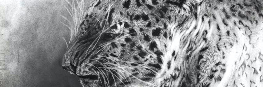 OdileKidd's profile banner image