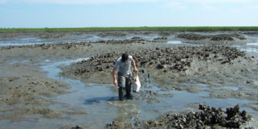 Antony Knights banner