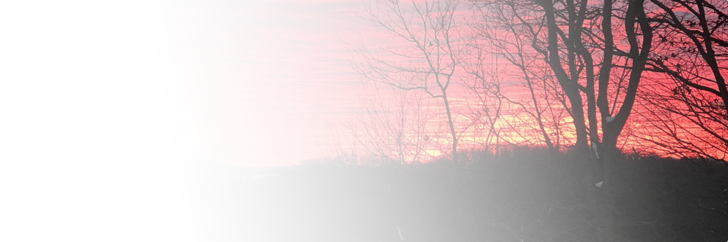 RobWBatot's profile banner image