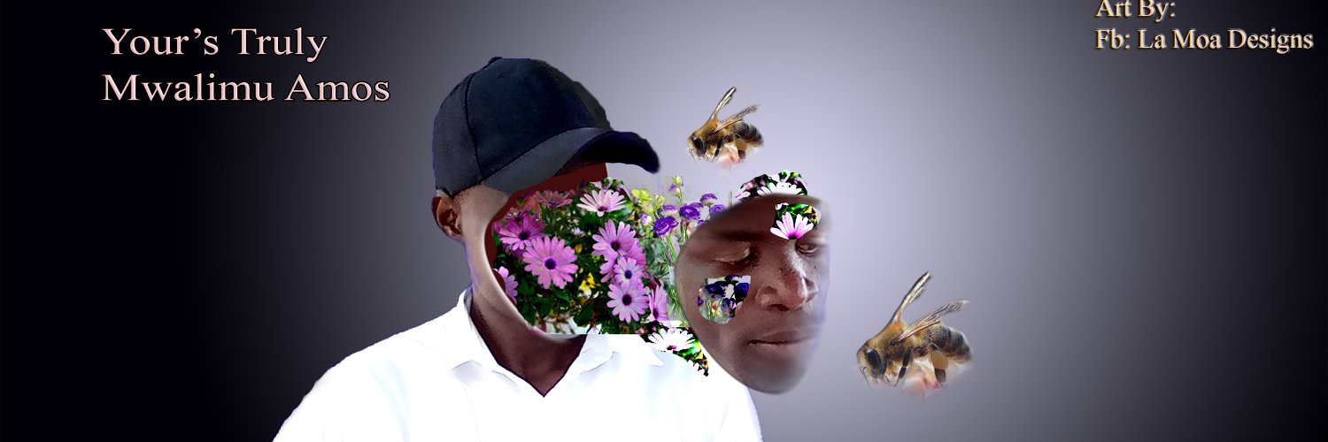 NiTeacher's profile banner image