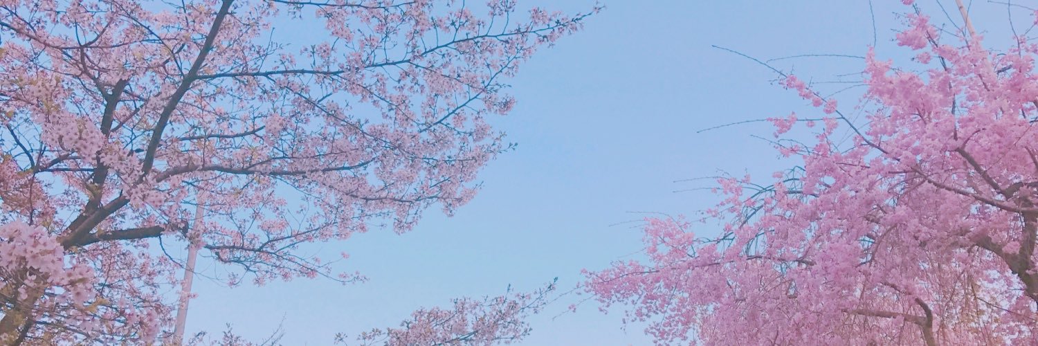 angeluhanhan's profile banner image