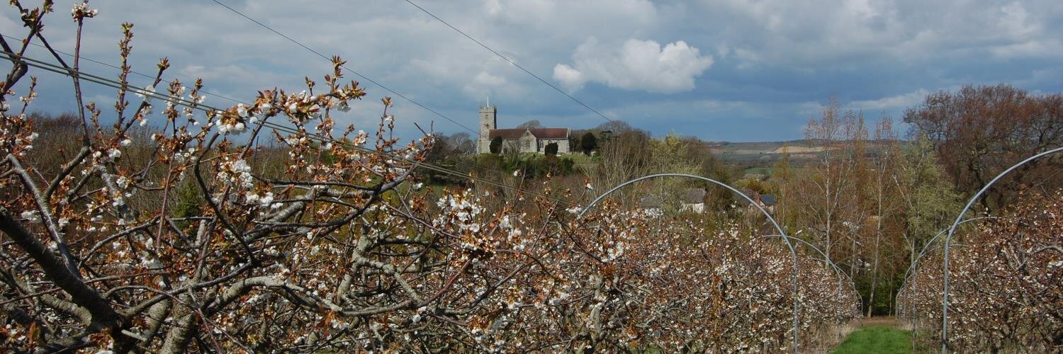 Godshill Orchards banner