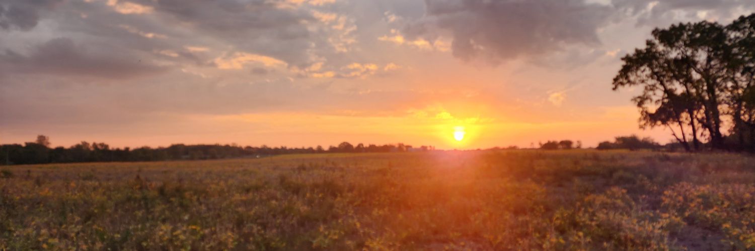 NeolithPrint's profile banner image