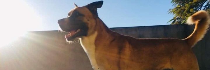 Dredb24's profile banner image