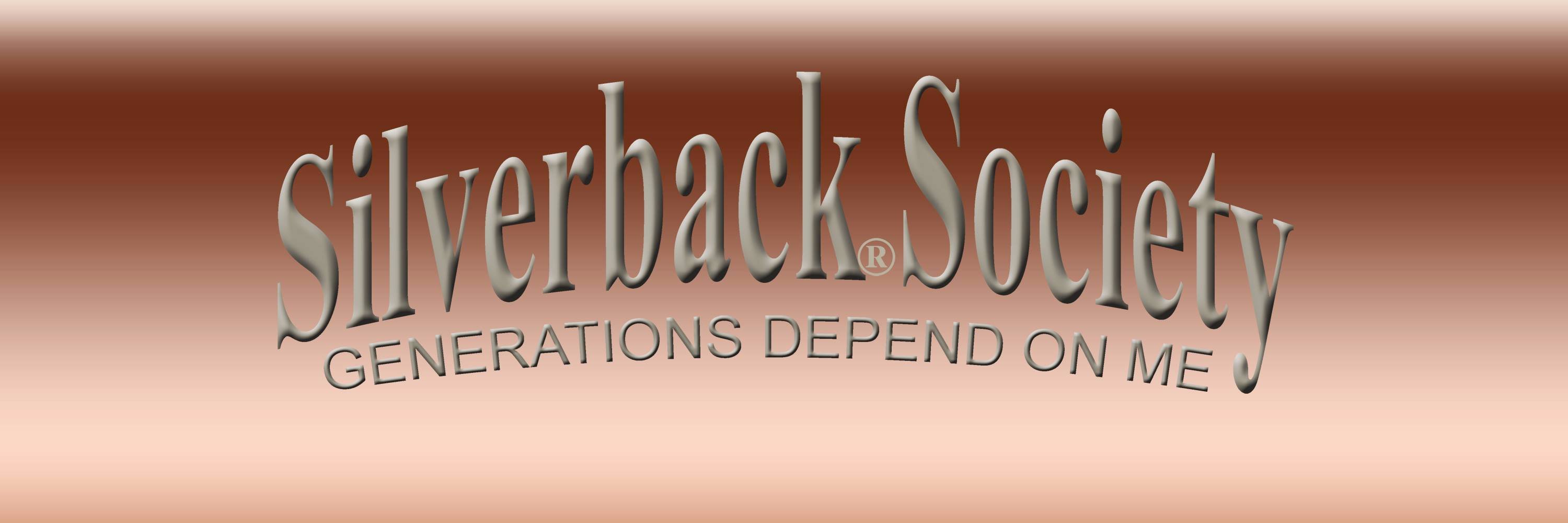 headsilverback's profile banner image