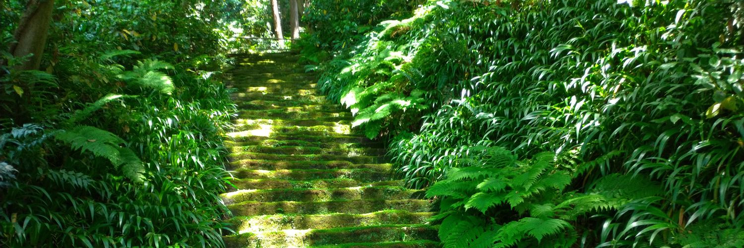 Каторов🏴‍☠️ banner