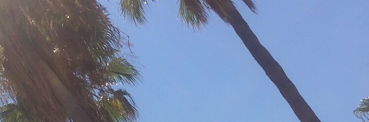 jessgalee's profile banner image