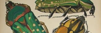 JustinNemon's profile banner image