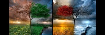 Moayedalhabeb's profile banner image