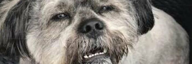 TravOdom's profile banner image