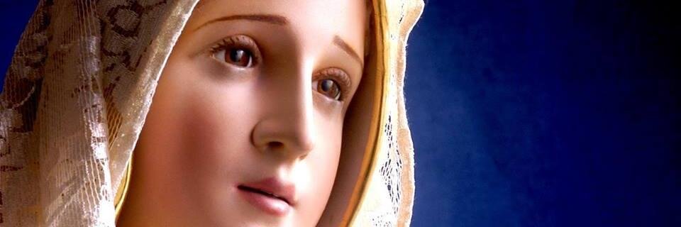 BeatrizBalessio's profile banner image