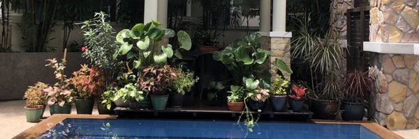 ProfAdeeba Profile Banner