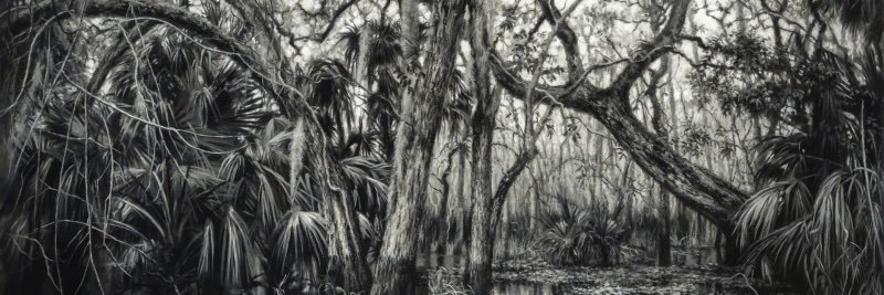 BarnardGallery's profile banner image