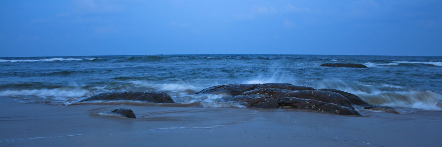 mtanwani's profile banner image