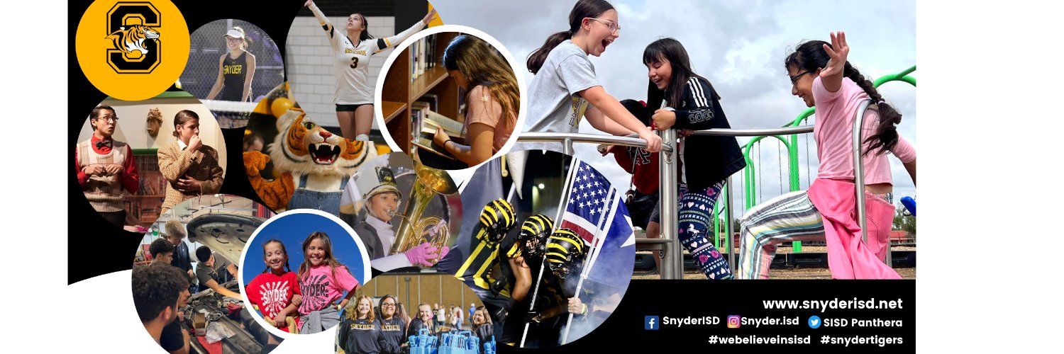 @SISDPanthera banner