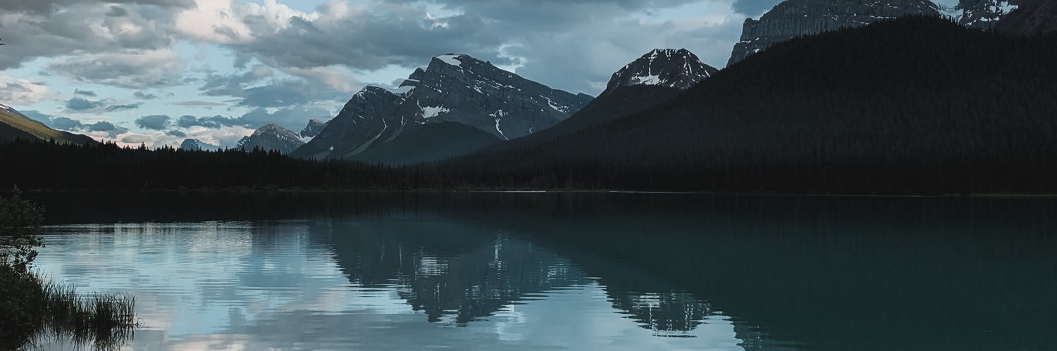 dcwilson98's profile banner image