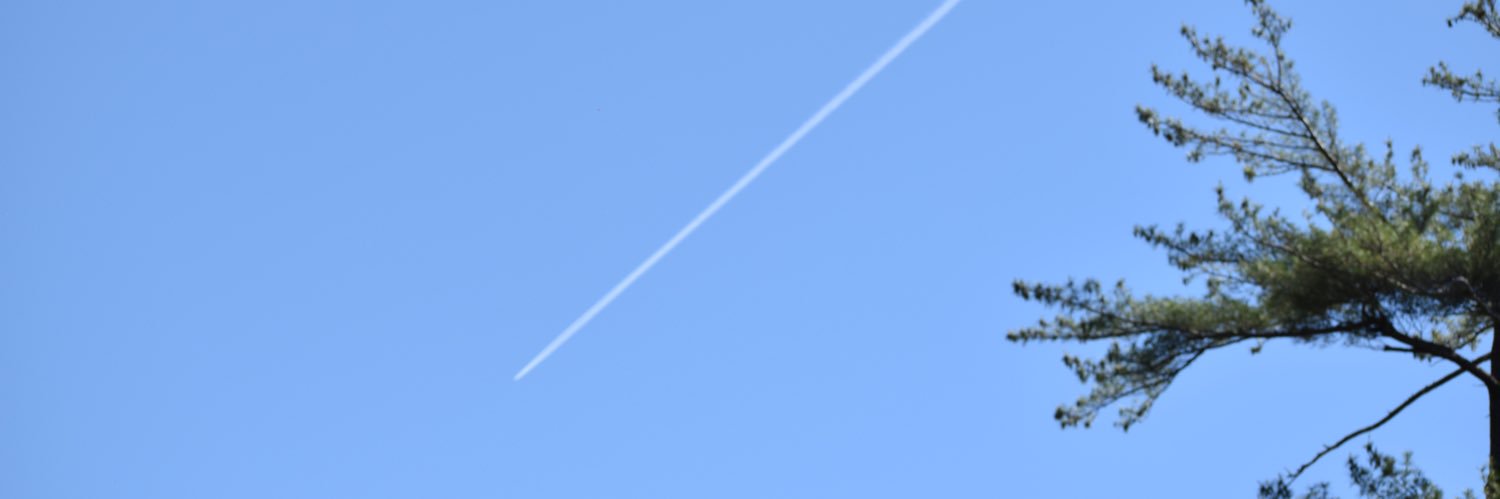 nmoroti's profile banner image