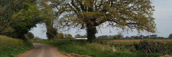 ChilcoRich Profile Banner