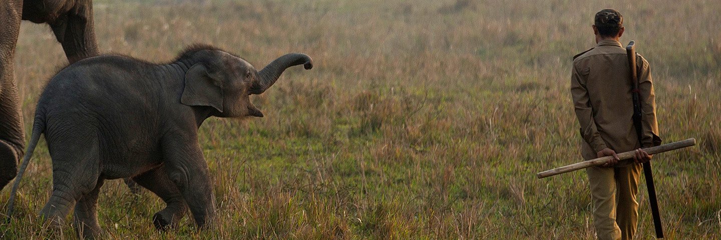 757Live India banner