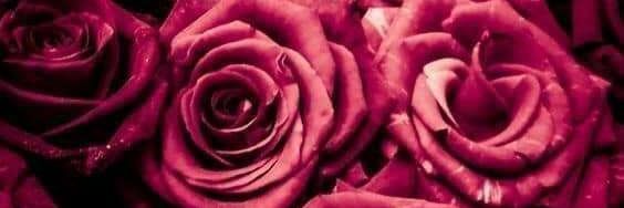 abdseb1981's profile banner image