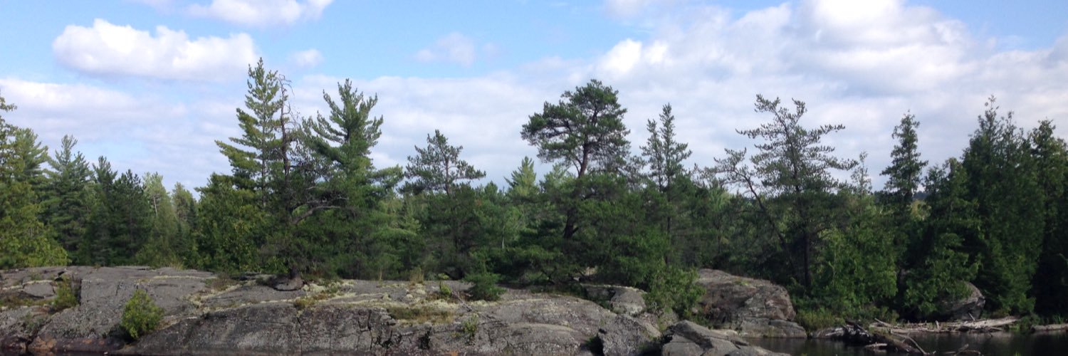 GregAtTrawna's profile banner image