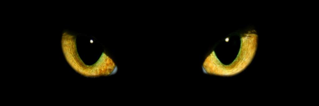 Ramón Rodríguez banner