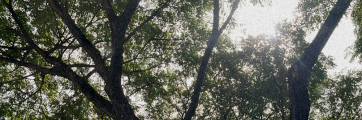 atelophb__'s profile banner image