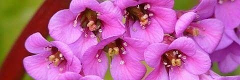 MacGlady1's profile banner image