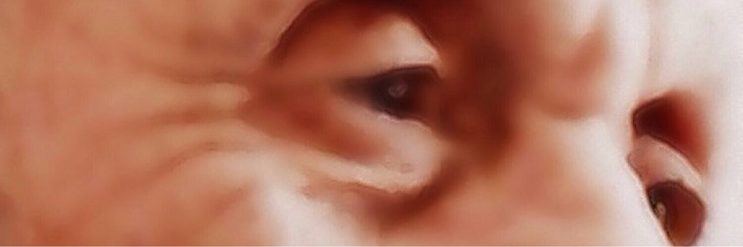 amna_ASB's profile banner image