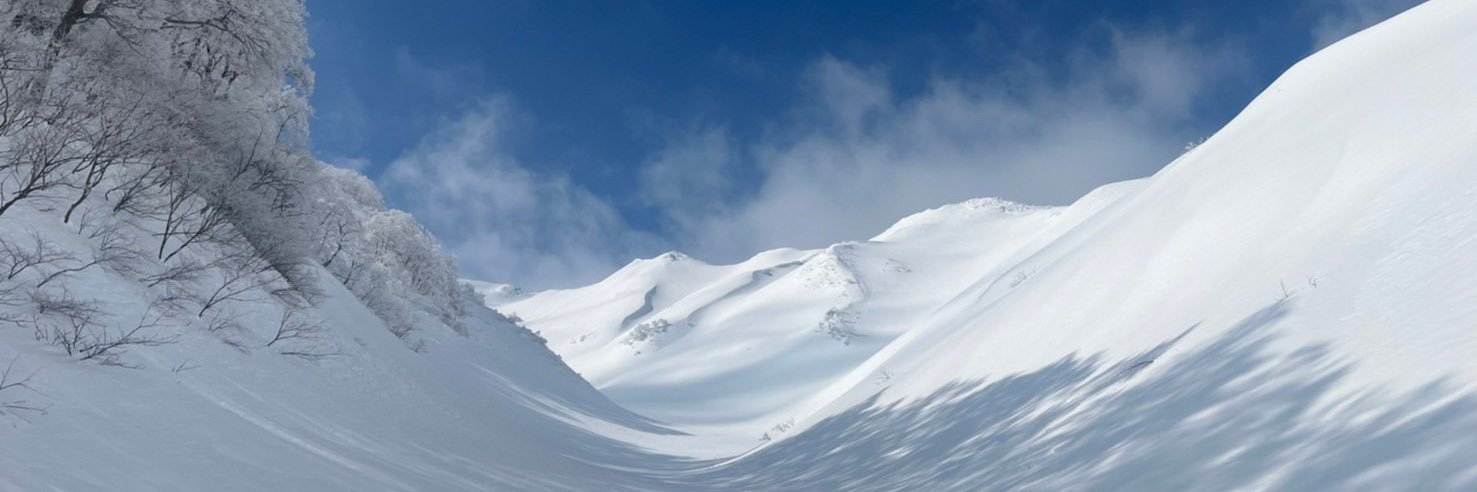 corogone's profile banner image