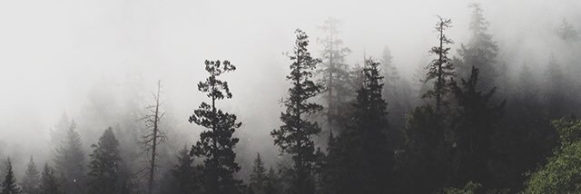 RaylaGarske's profile banner image