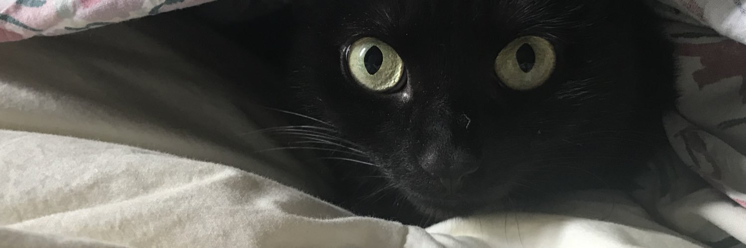 beckymacryan's profile banner image