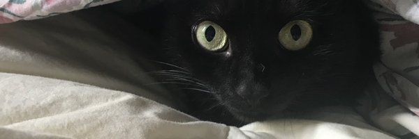 beckymacryan Profile Banner