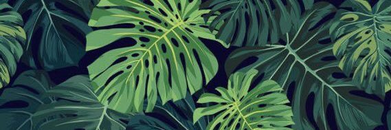 Myshell_9's profile banner image