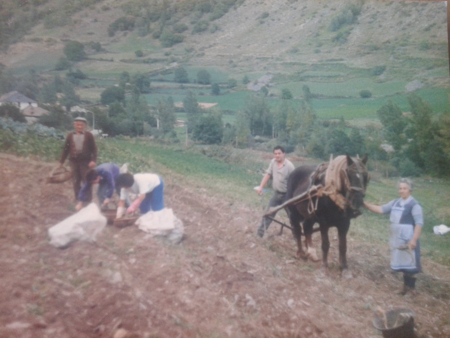 Marc Escolà i Lamora banner