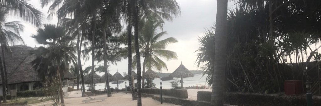 Jambo Laura🐢🐡 banner