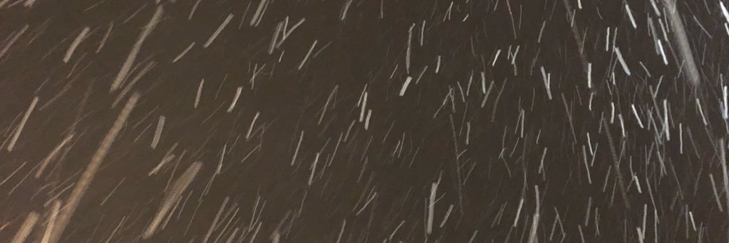 caullird's profile banner image