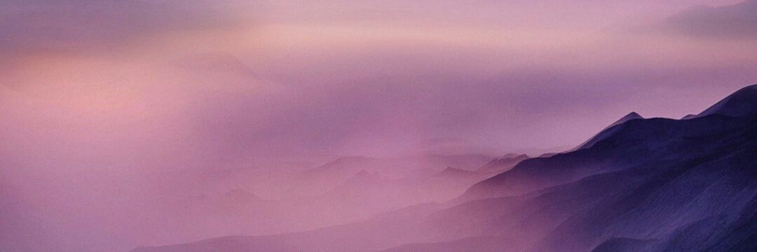 adolfcampos1972's profile banner image
