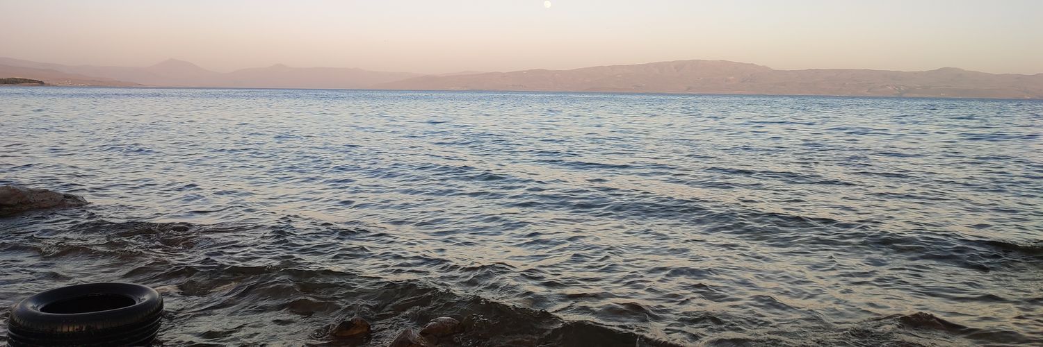 albayrakella's profile banner image