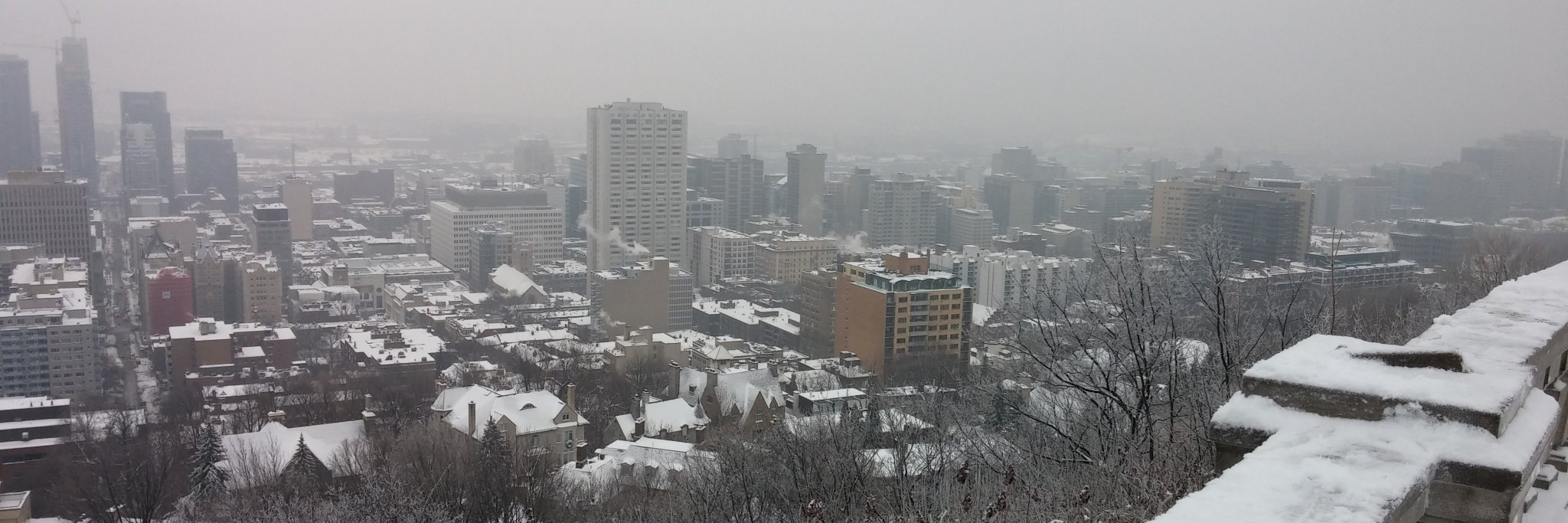 Michael Frisby banner