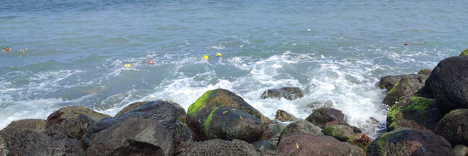 Yadira del Mar 🍉🌊 banner