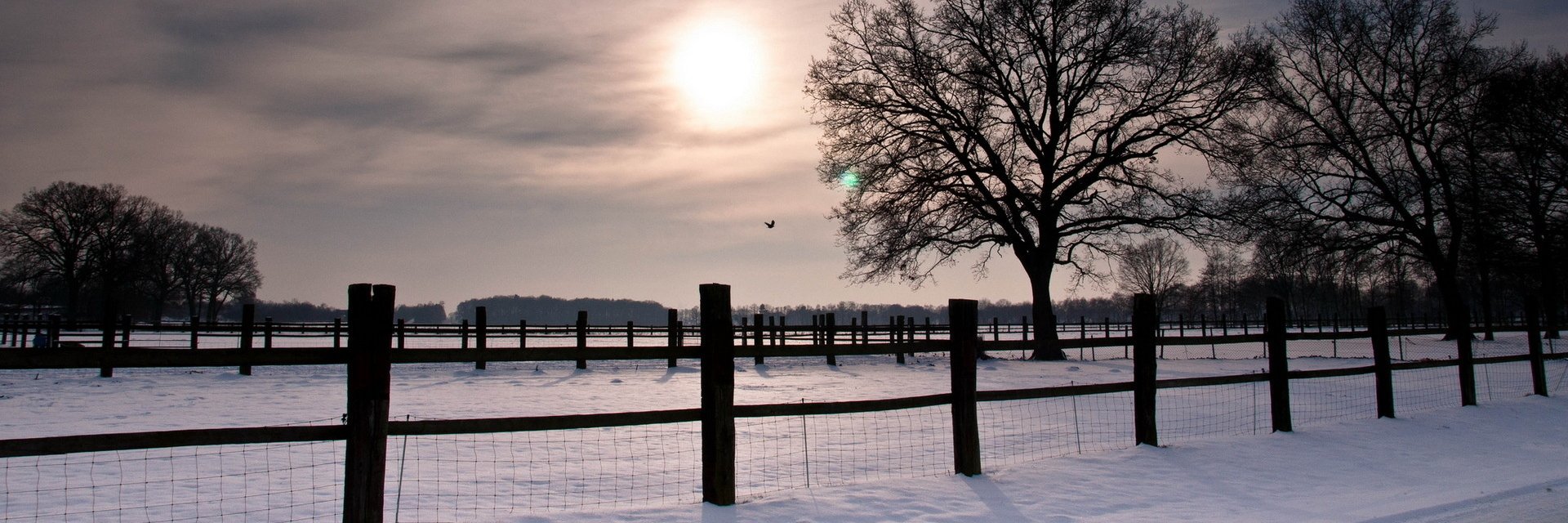MICHAEL ANDERSON banner