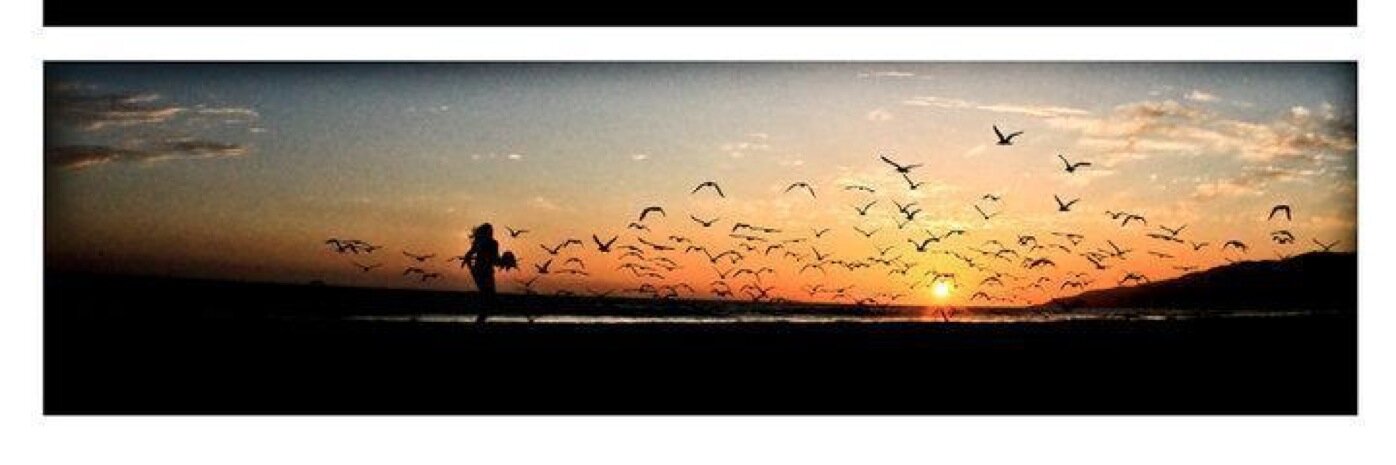 ActionWhit's profile banner image