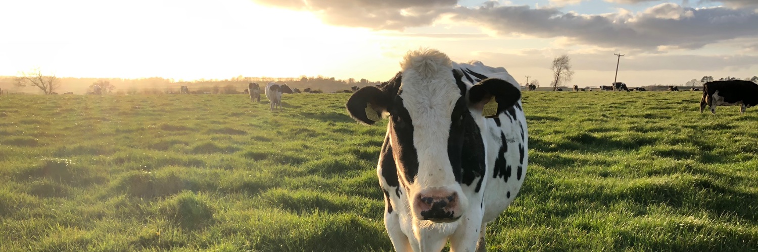 HugHuggie's profile banner image