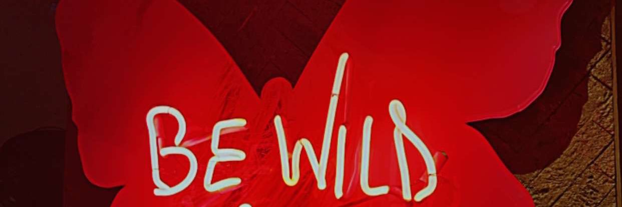 زهراء اشكناني. banner